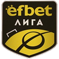 保甲联赛logo