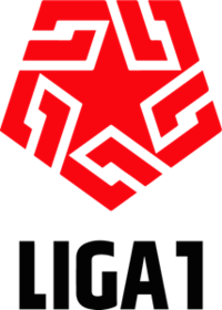 秘鲁甲联赛logo